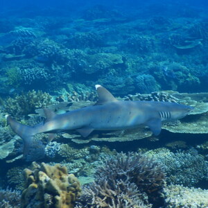 10月&つり銭のお知らせ