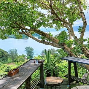 11月のお知らせ ~真体療術in大阪最終月~