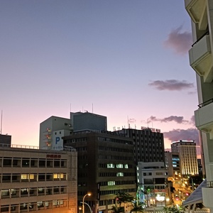 真体療術復習会@東京 & 1/18(日)休診のお知らせ