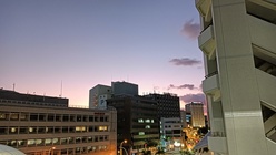 真体療術復習会@東京 & 1/18(日)休診のお知らせ