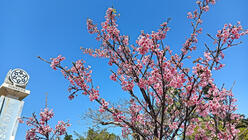 2026年3月のお知らせ